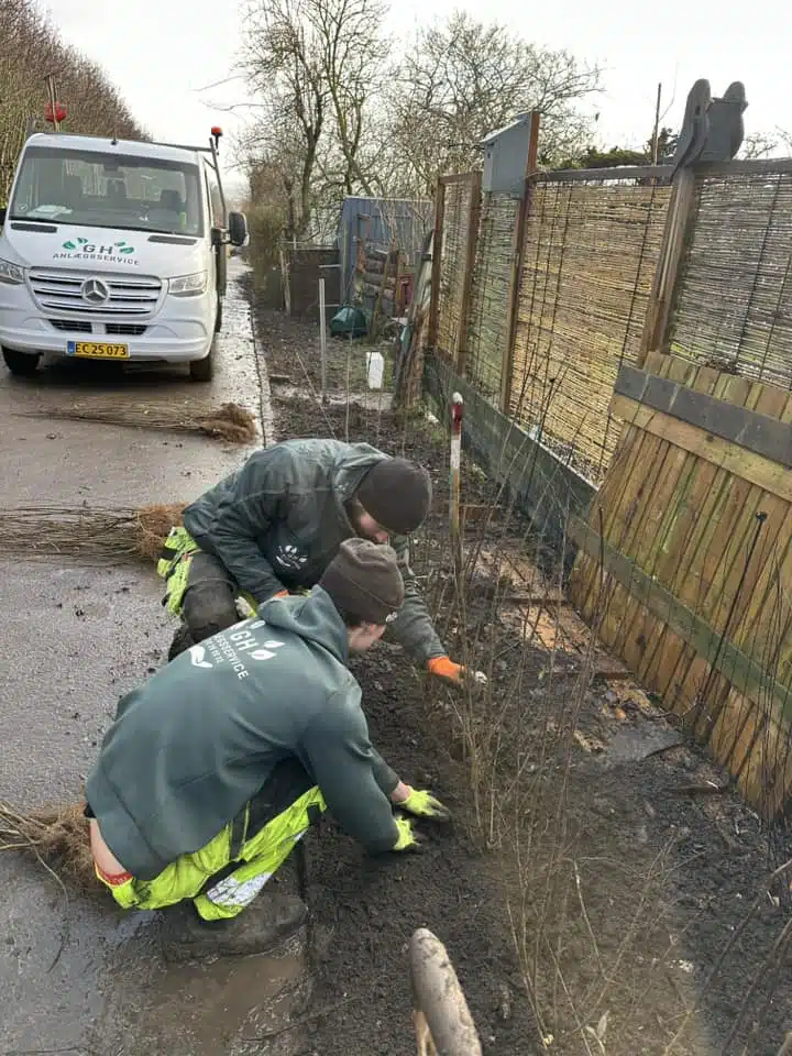 Haveservice nær Århus, Randers og på Djursland